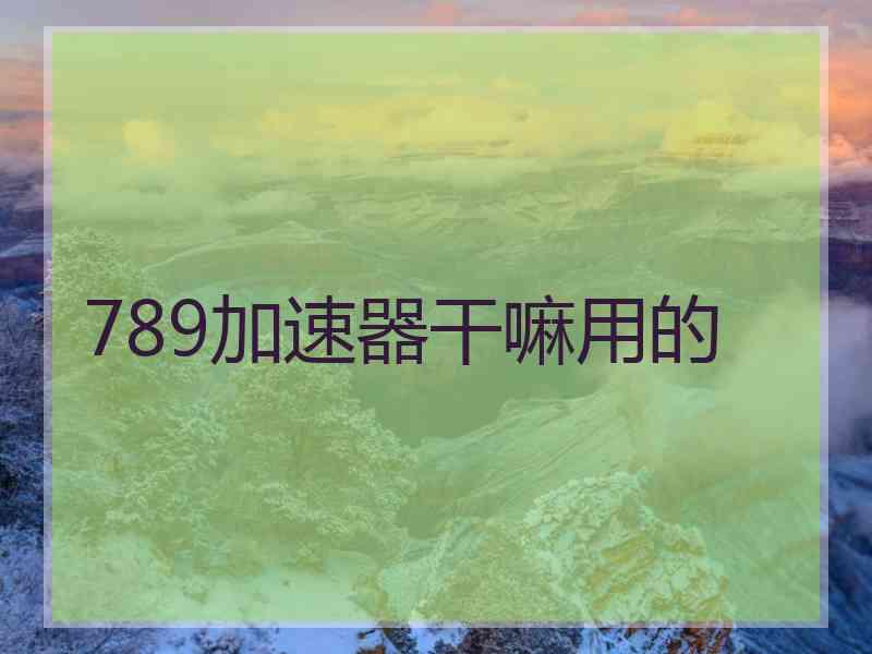 789加速器干嘛用的