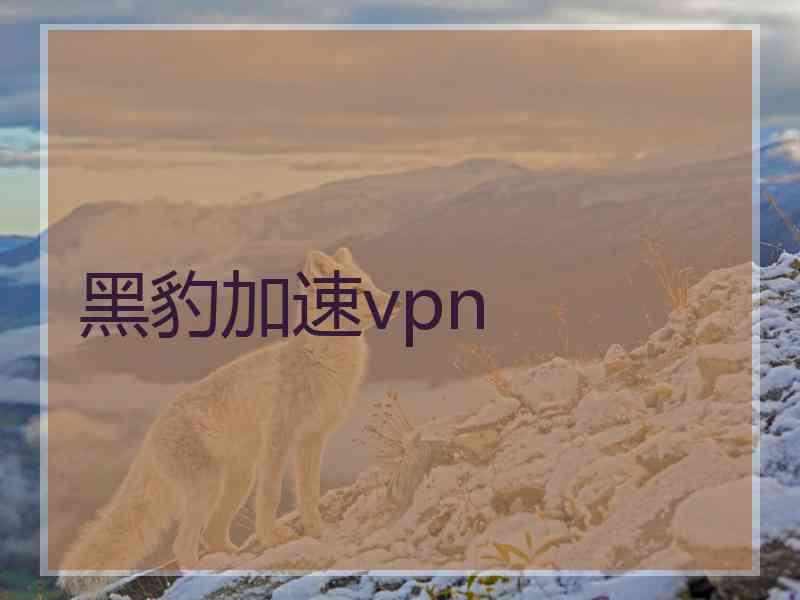 黑豹加速vpn