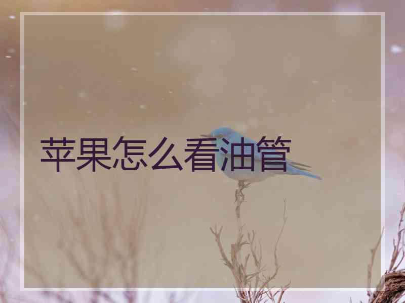 苹果怎么看油管