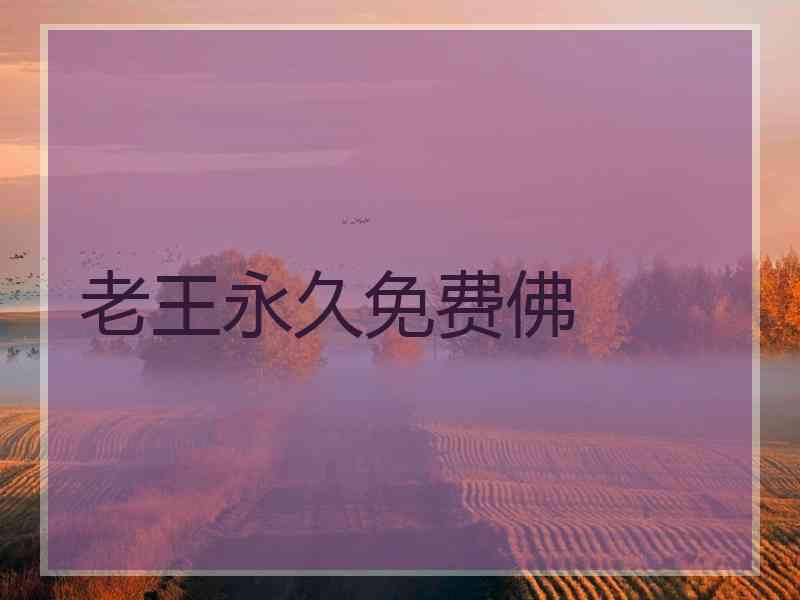 老王永久免费佛