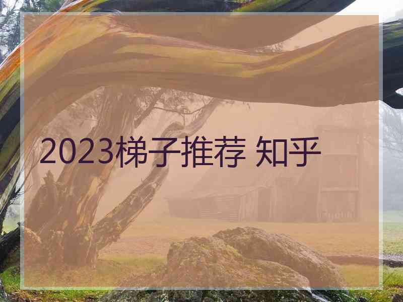 2023梯子推荐 知乎