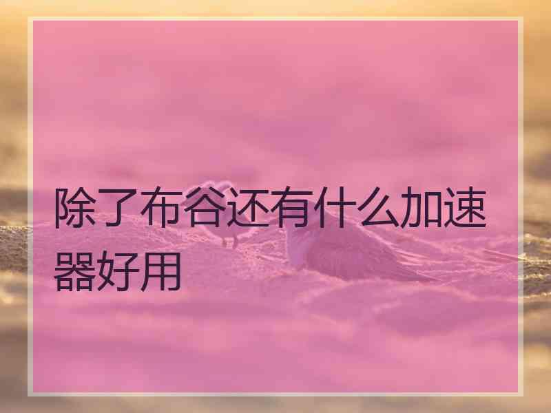 除了布谷还有什么加速器好用