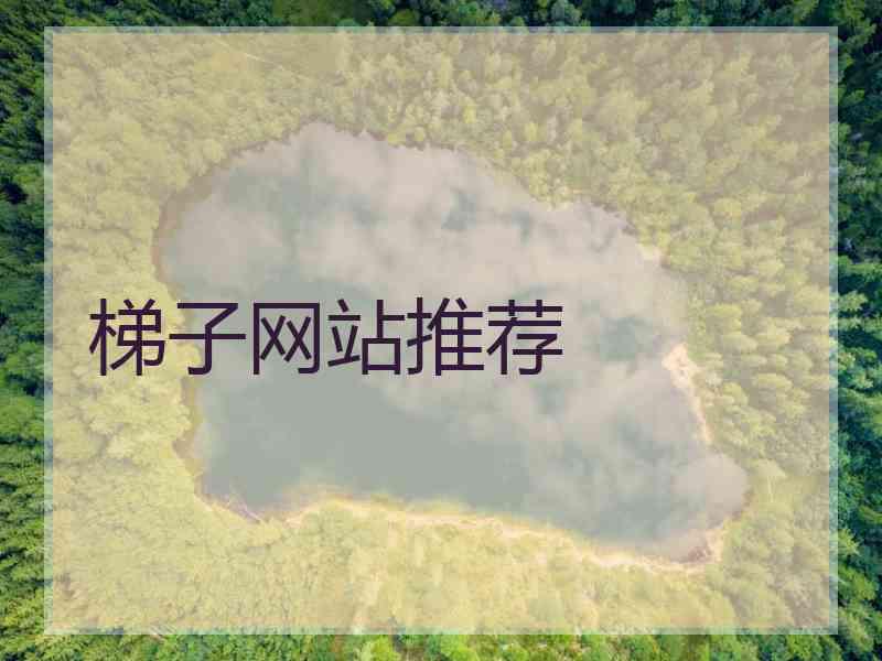 梯子网站推荐