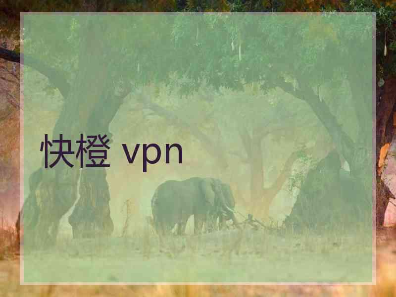 快橙 vpn