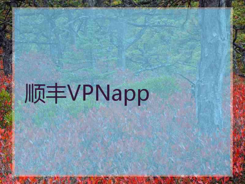 顺丰VPNapp