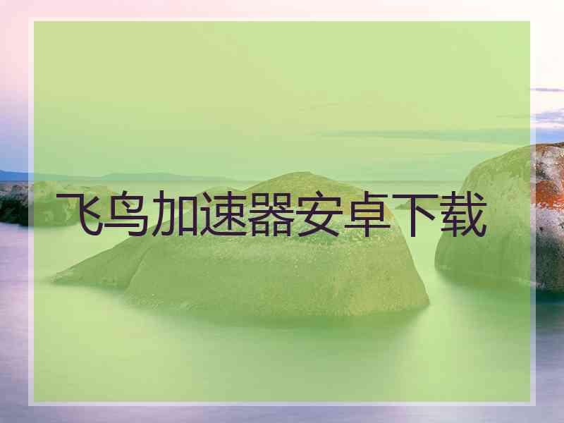 飞鸟加速器安卓下载