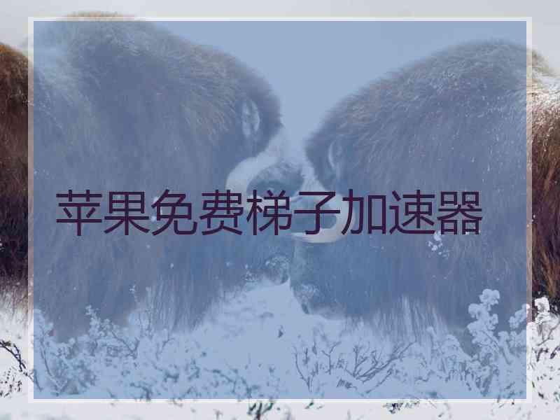 苹果免费梯子加速器