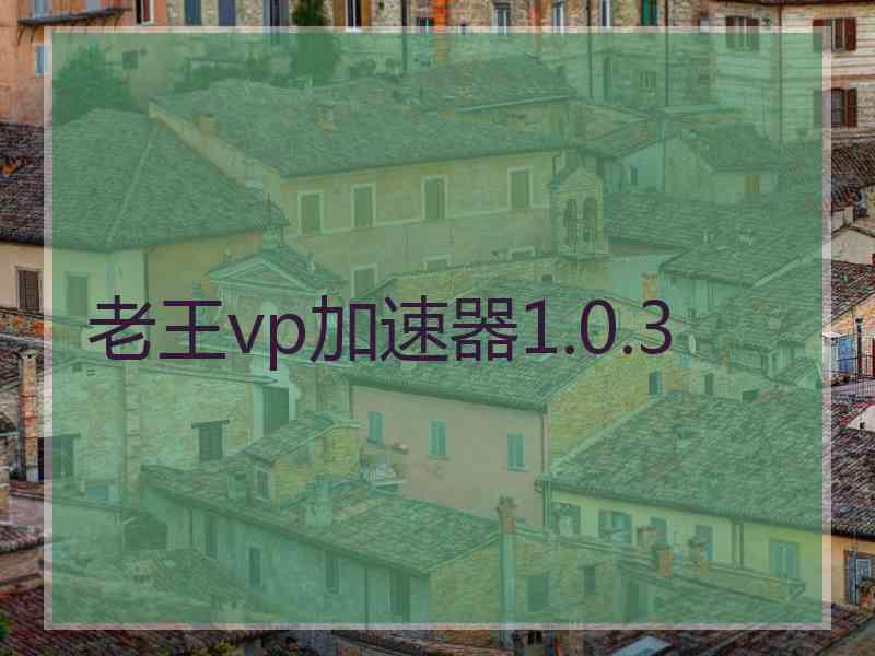 老王vp加速器1.0.3