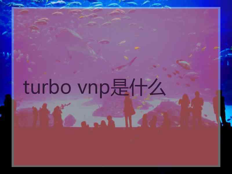 turbo vnp是什么