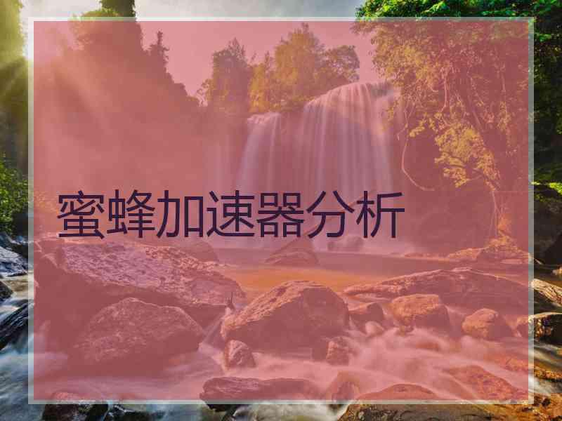 蜜蜂加速器分析