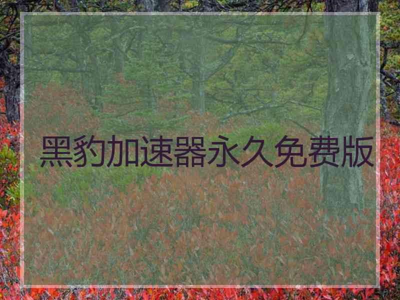 黑豹加速器永久免费版