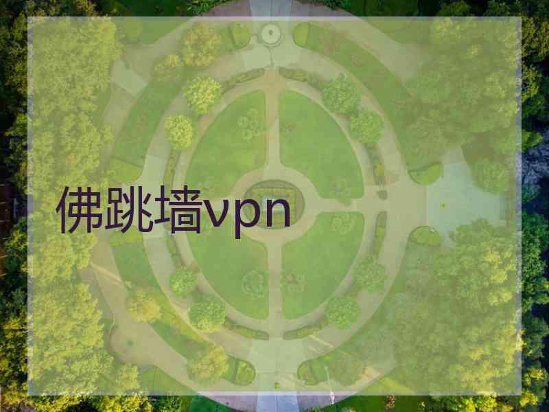 佛跳墙νpn
