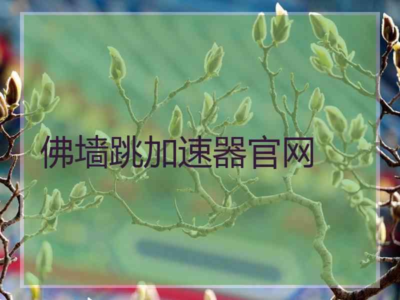 佛墙跳加速器官网