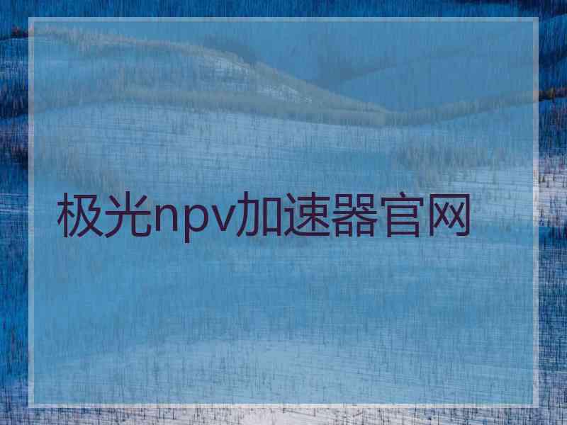 极光npv加速器官网