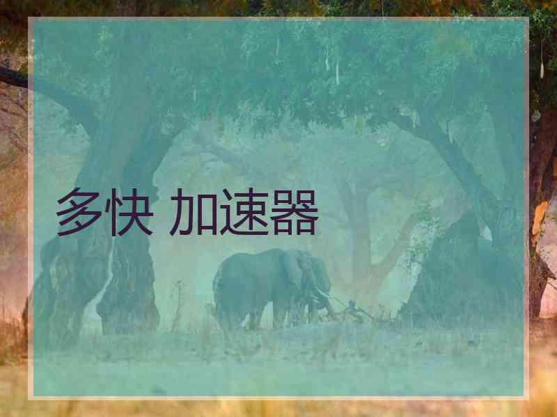 多快 加速器