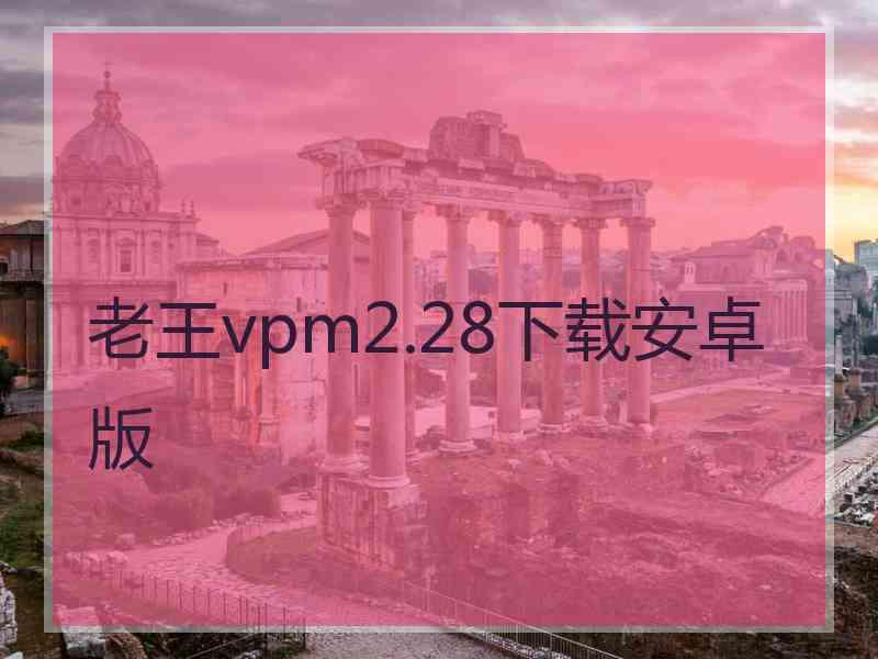 老王vpm2.28下载安卓版