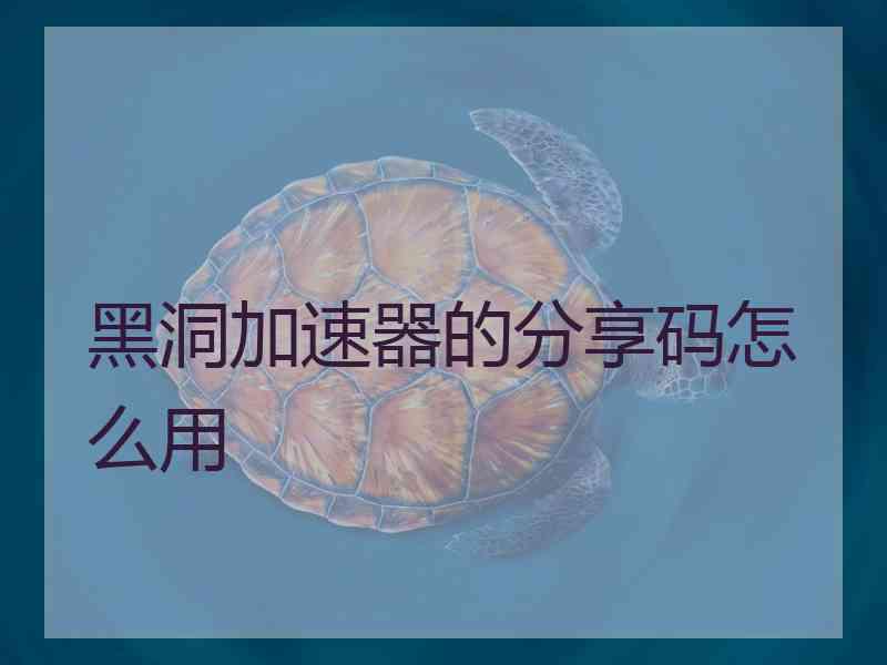 黑洞加速器的分享码怎么用