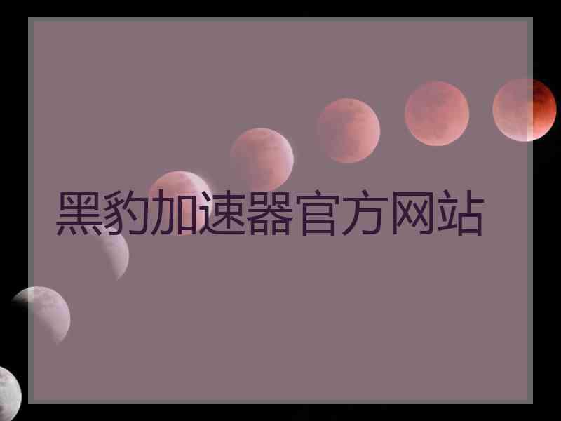 黑豹加速器官方网站