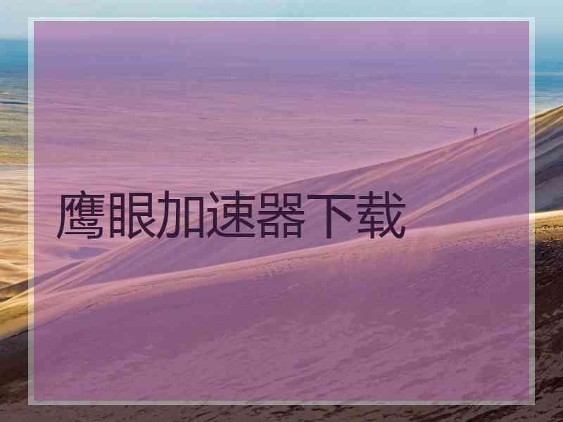 鹰眼加速器下载
