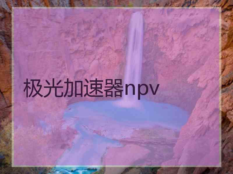 极光加速器npv