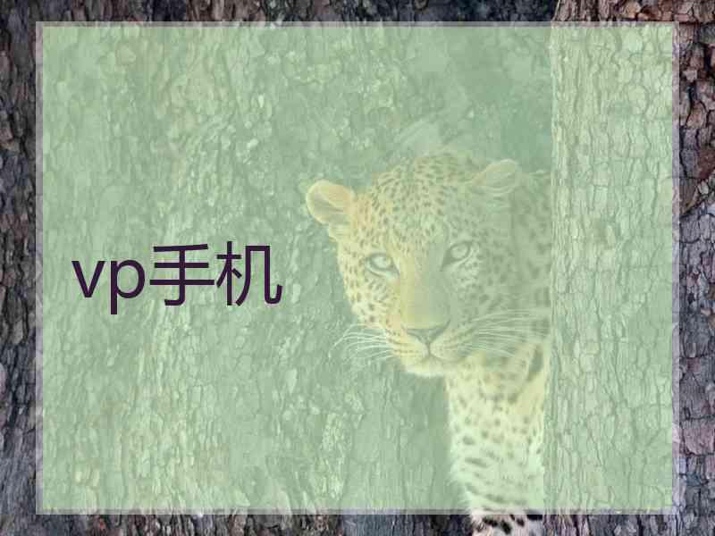 vp手机