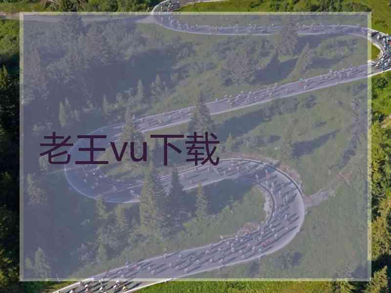 老王vu下载