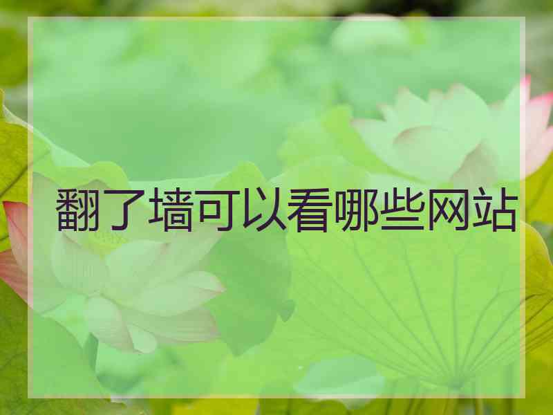 翻了墙可以看哪些网站