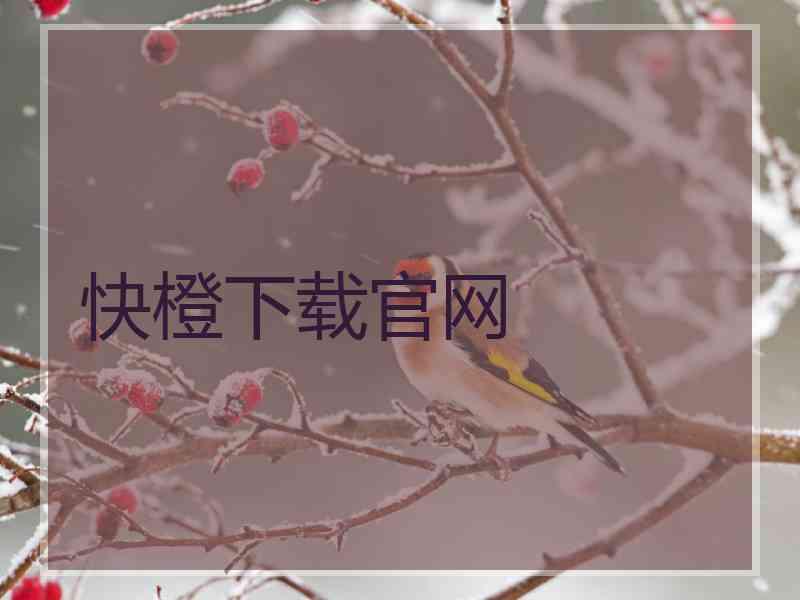 快橙下载官网