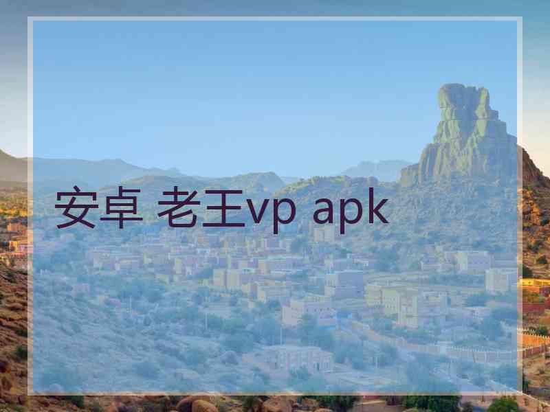 安卓 老王vp apk