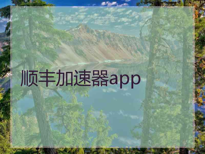 顺丰加速器app