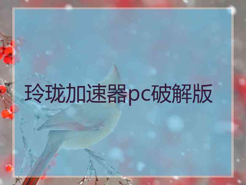玲珑加速器pc破解版