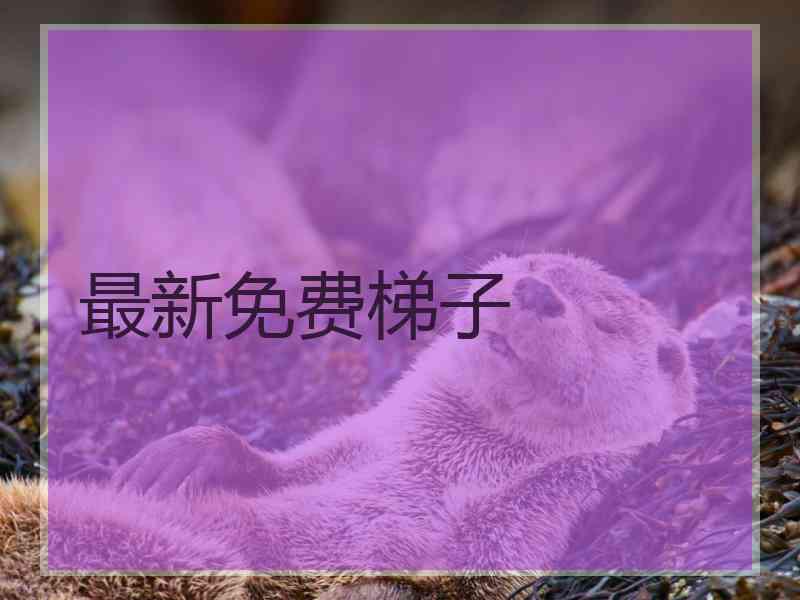 最新免费梯子