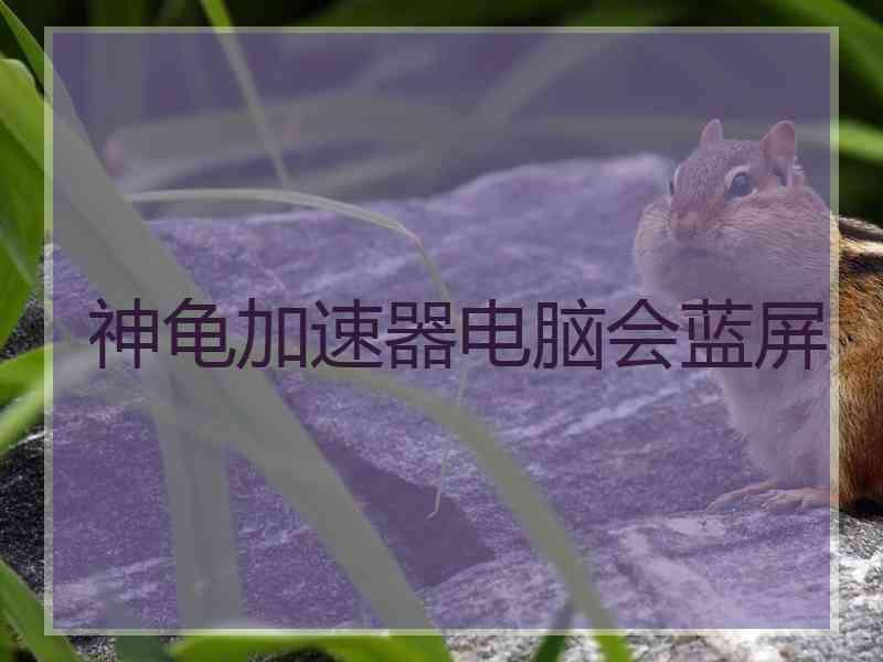神龟加速器电脑会蓝屏