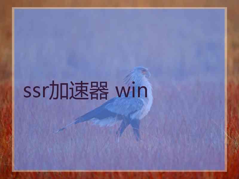 ssr加速器 win