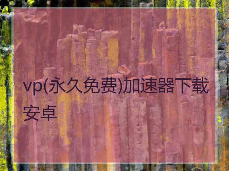 vp(永久免费)加速器下载安卓