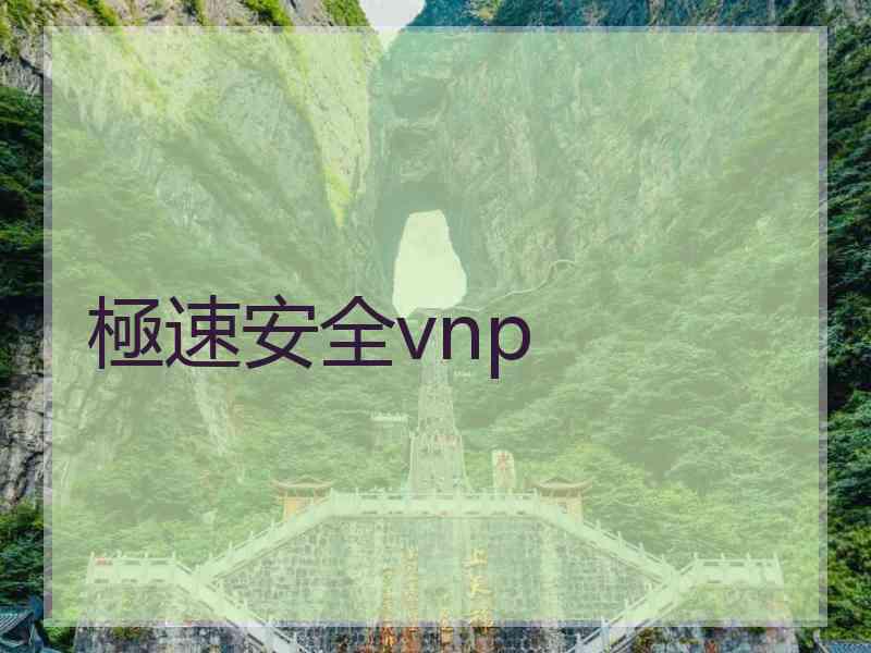 極速安全vnp