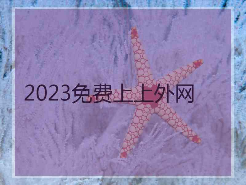 2023免费上上外网