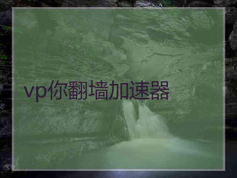 vp你翻墙加速器