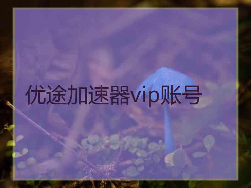 优途加速器vip账号