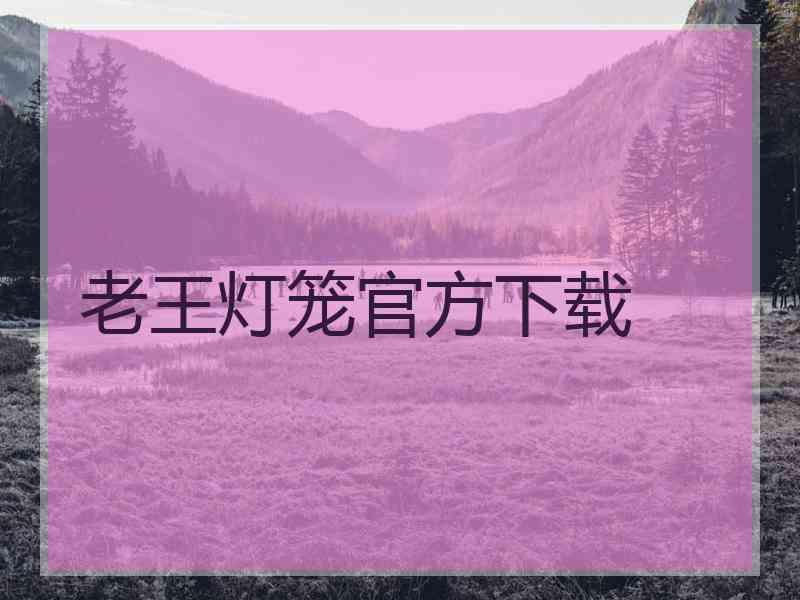 老王灯笼官方下载