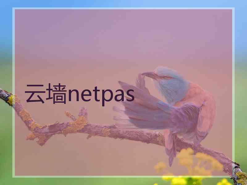 云墙netpas