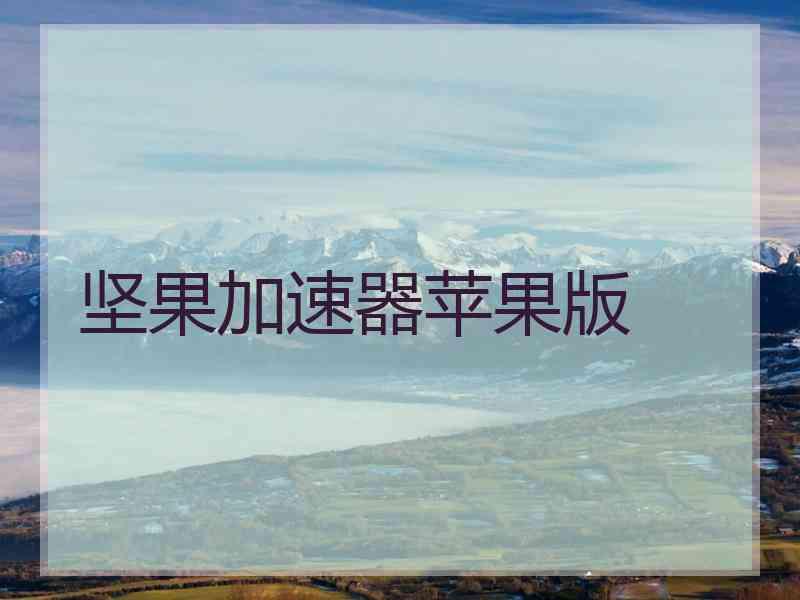 坚果加速器苹果版