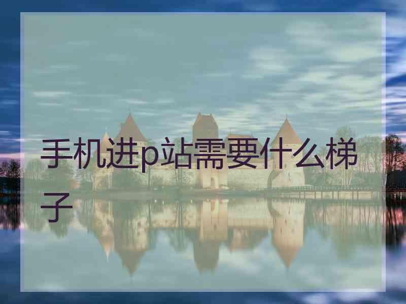 手机进p站需要什么梯子