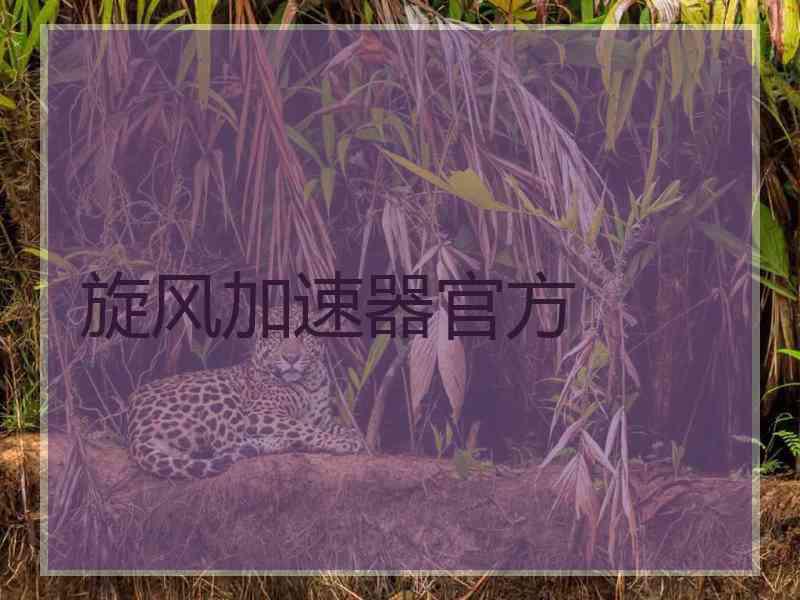 旋风加速器官方