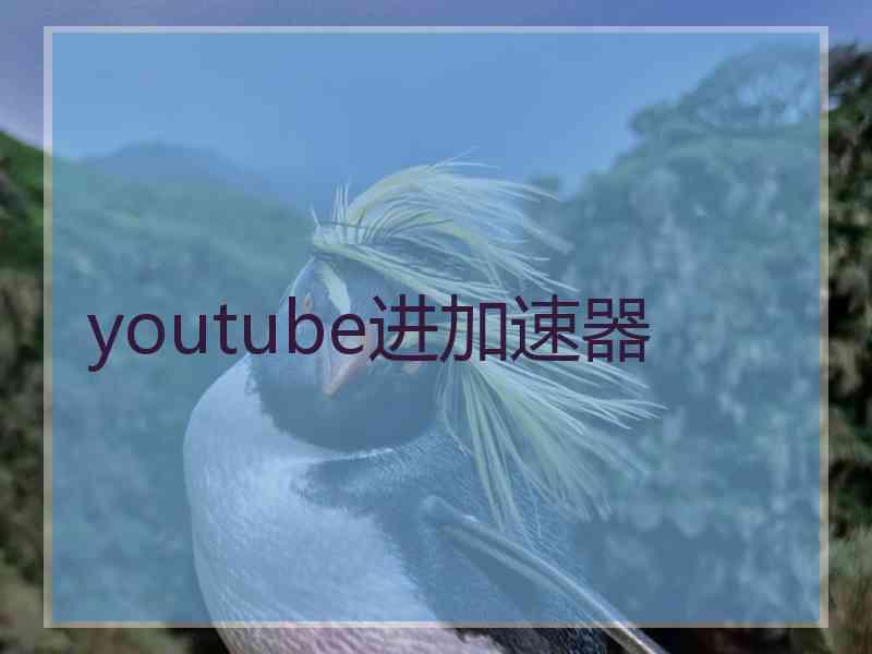 youtube进加速器