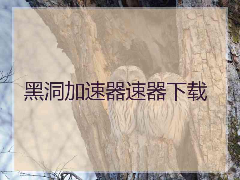 黑洞加速器速器下载
