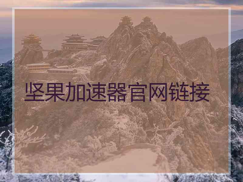 坚果加速器官网链接