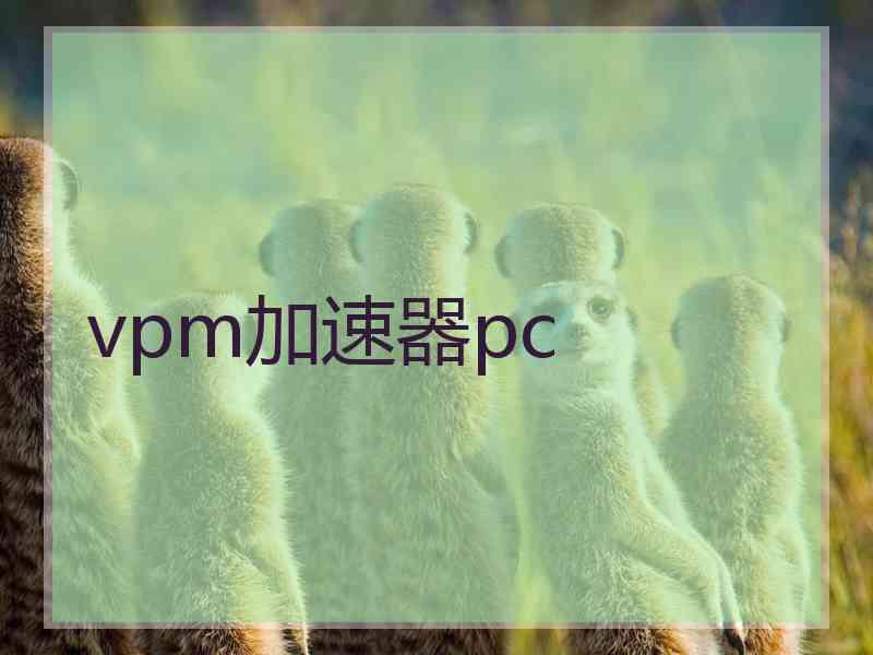 vpm加速器pc