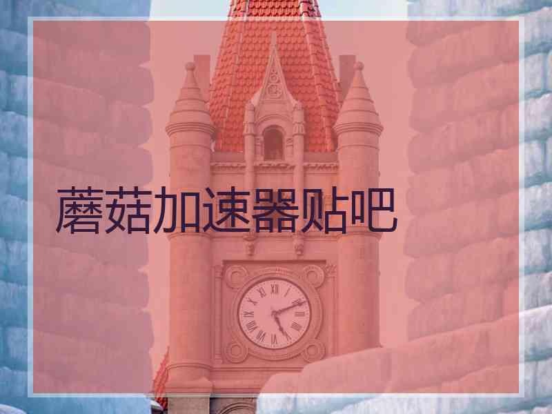 蘑菇加速器贴吧