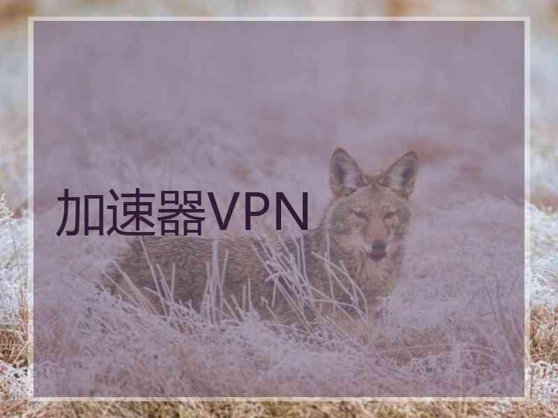 加速器VPN